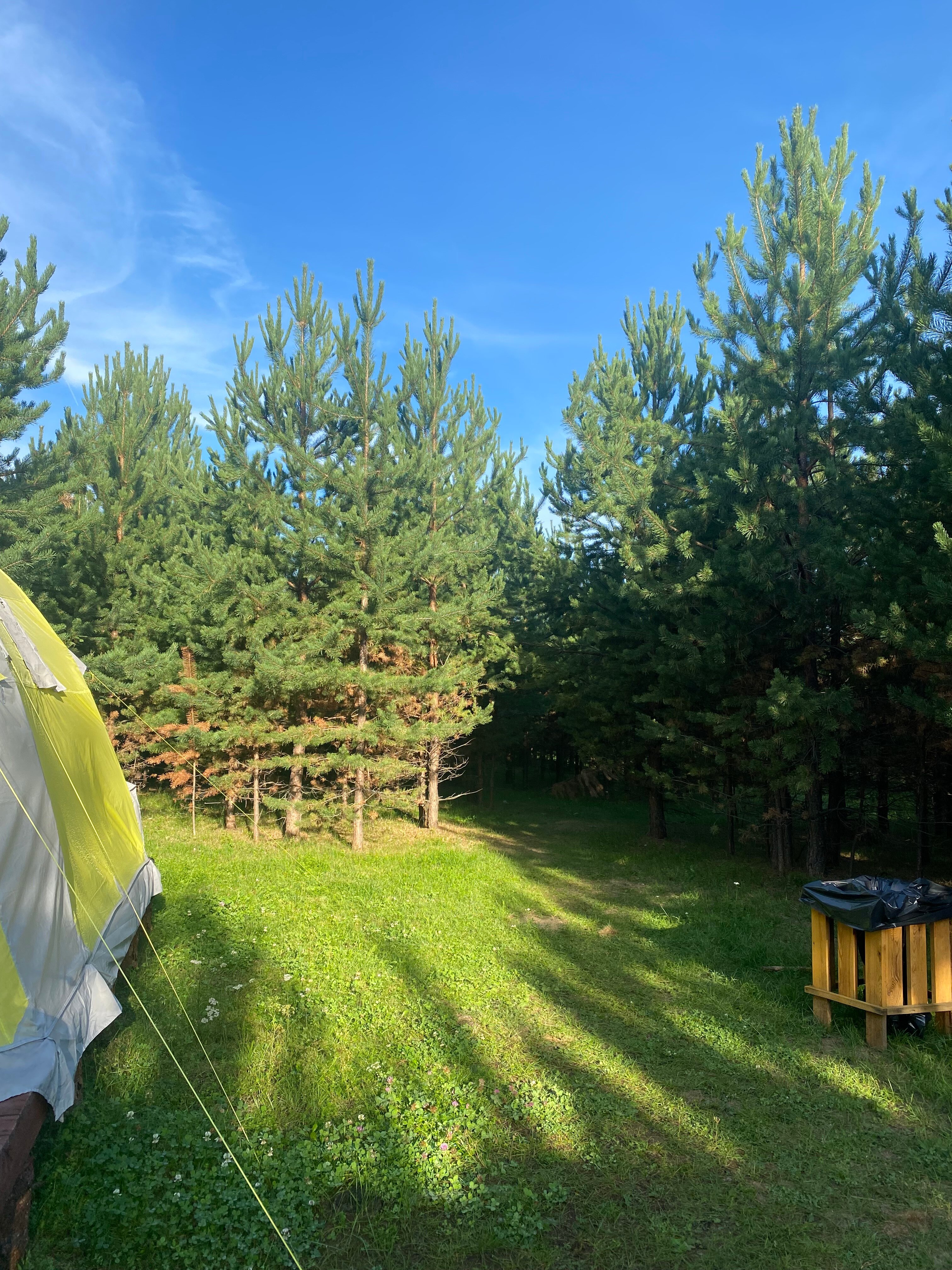 Фото Лестория