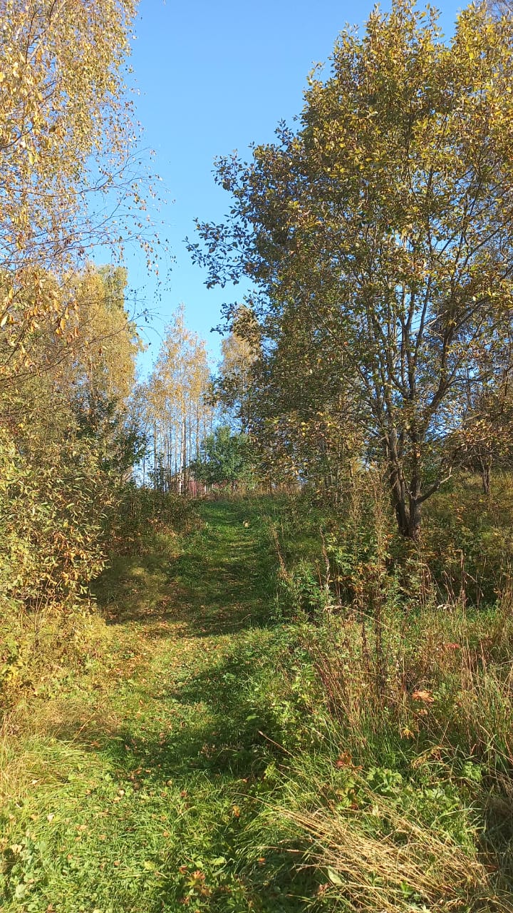 Фото Вьюлка