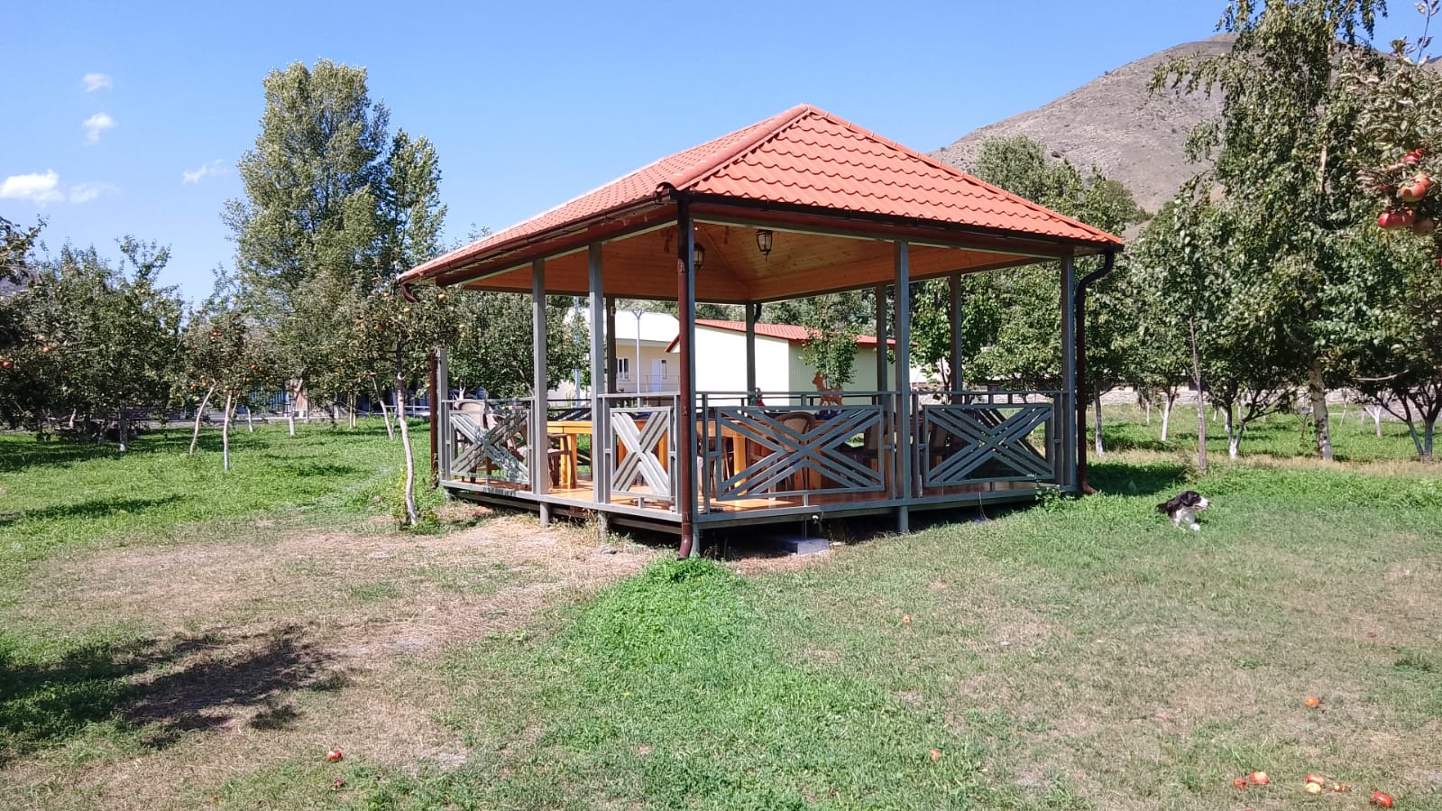 Фото Рагдан