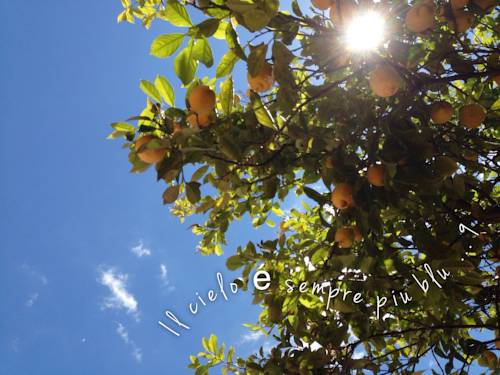 Фото Hotel Casa Yvorio