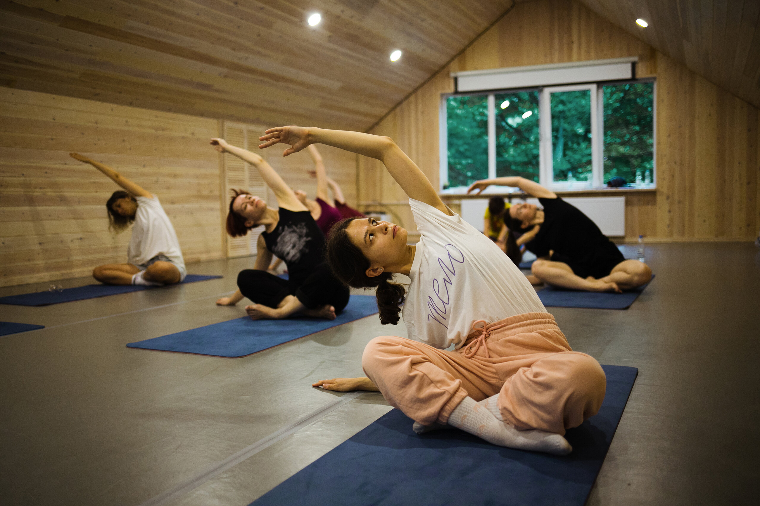 Фото Ягодный тис