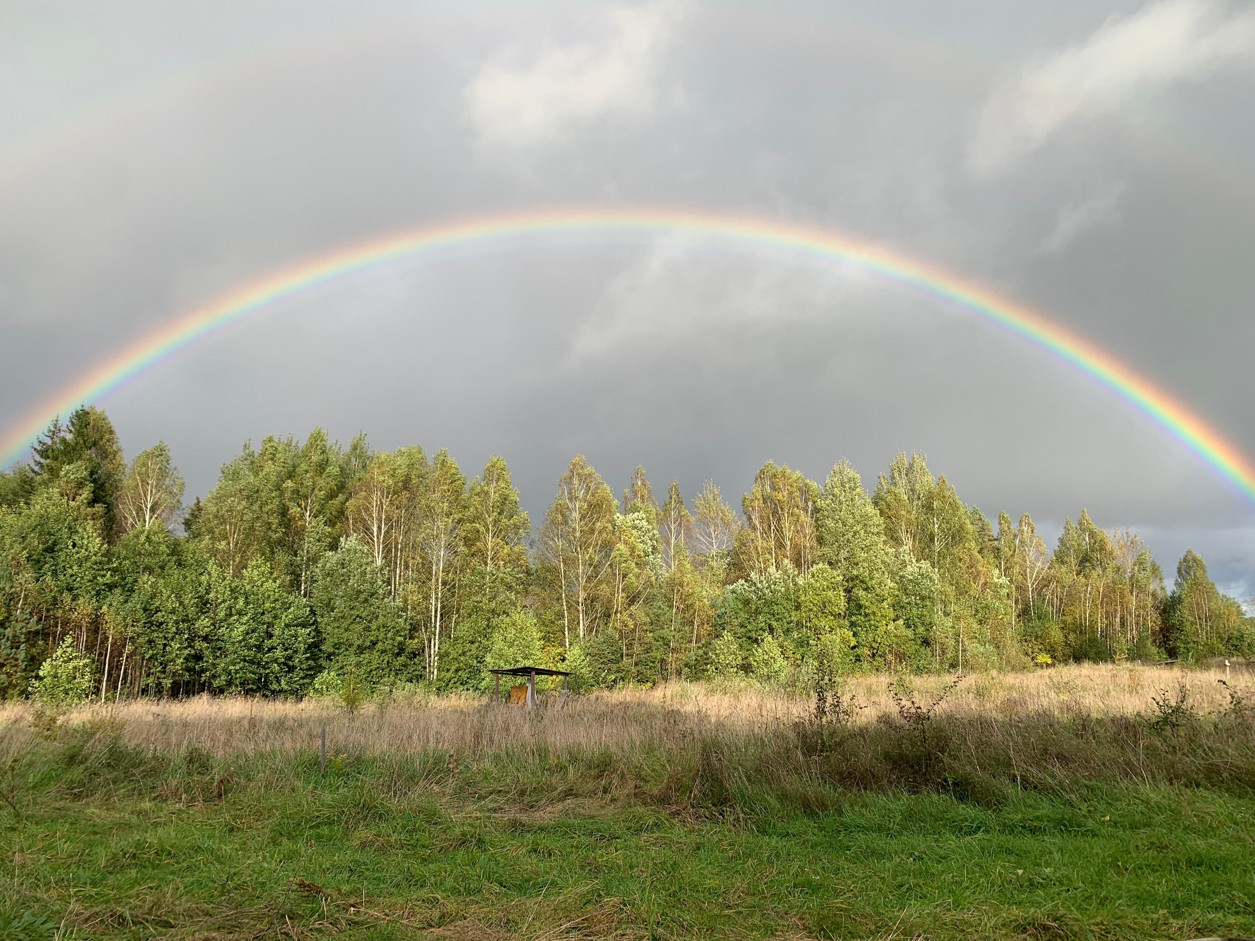 Фото Хутор Комаришки