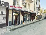 Нотариальная контора (Karla Marksa Street, 15), notarios