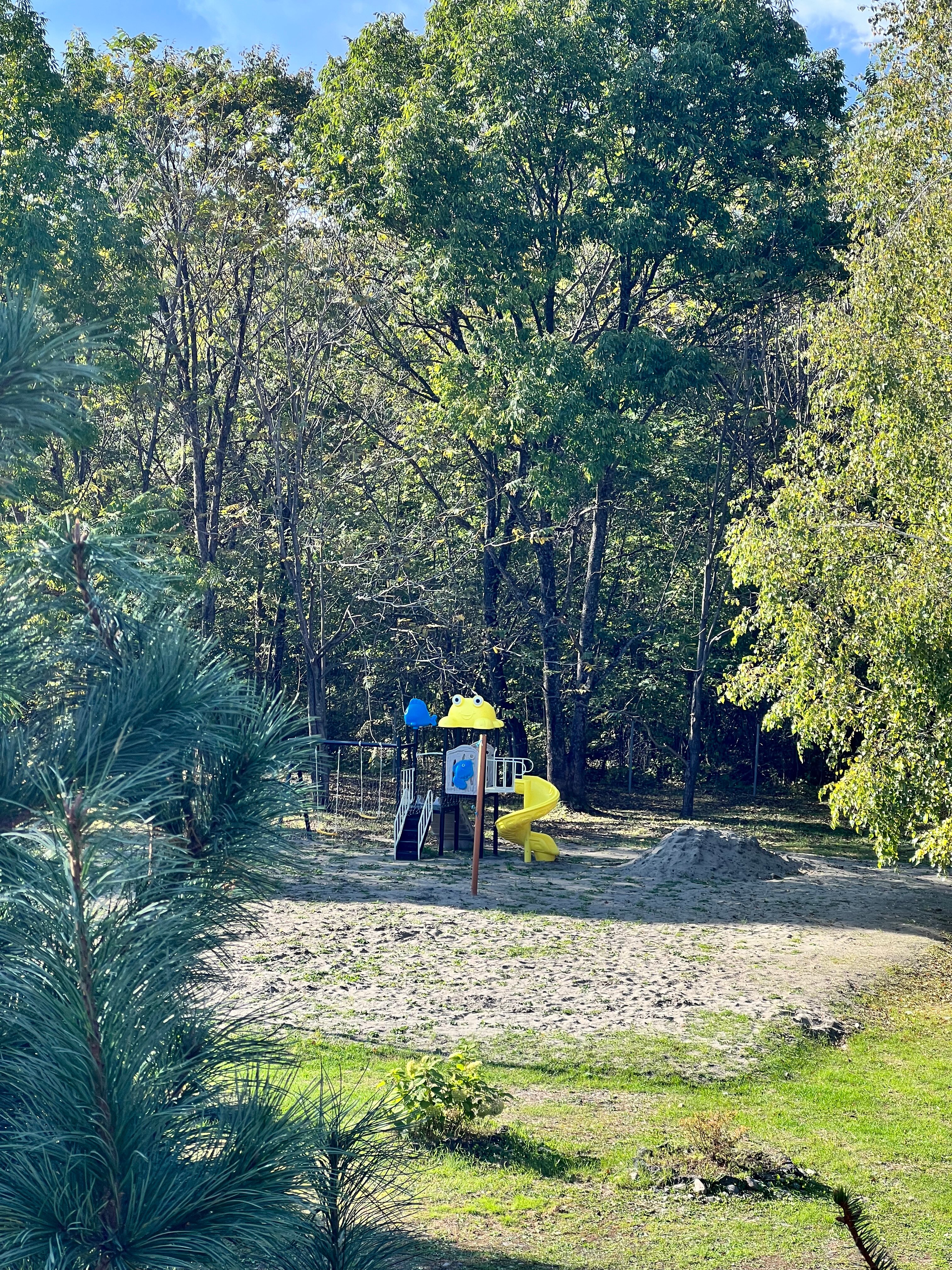 Фото Сплавной участок