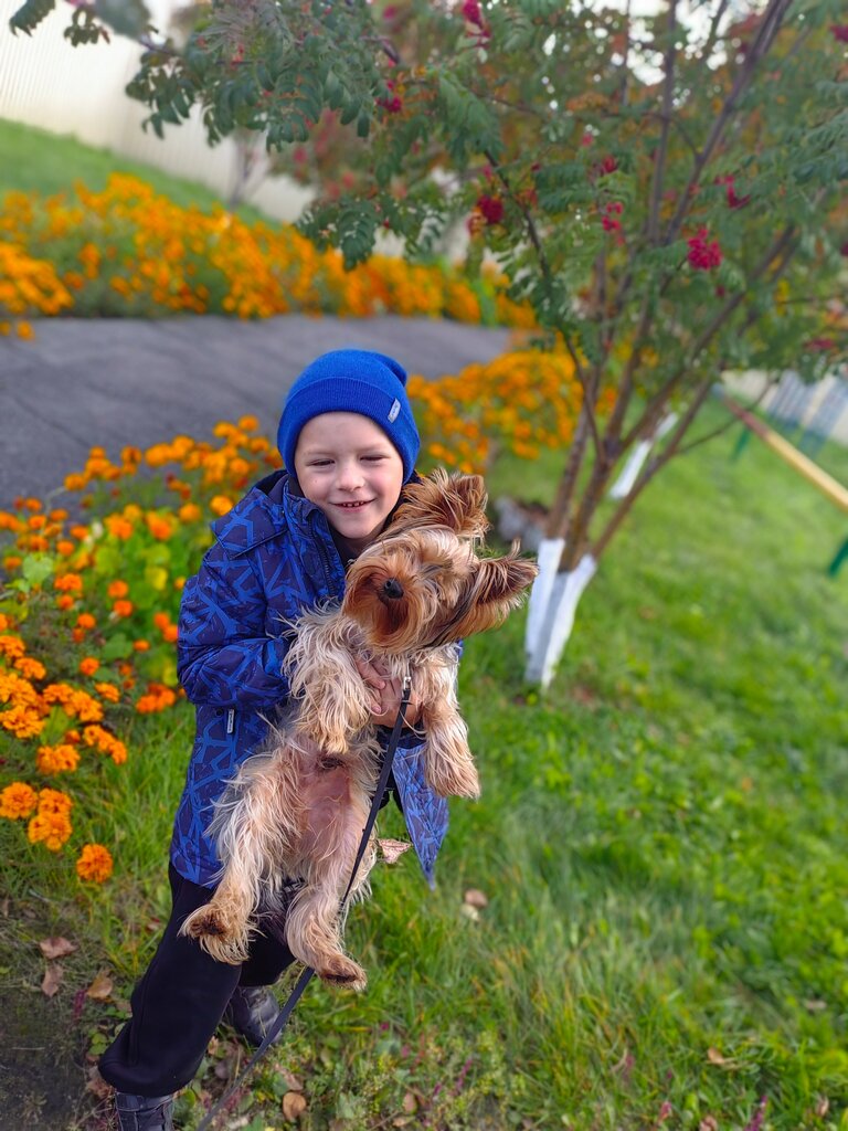 Kindergarten, nursery Детский сад Тополёк, Kuybyshev, photo