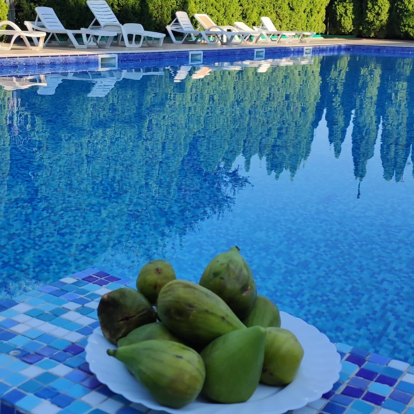 Фото Апельсин