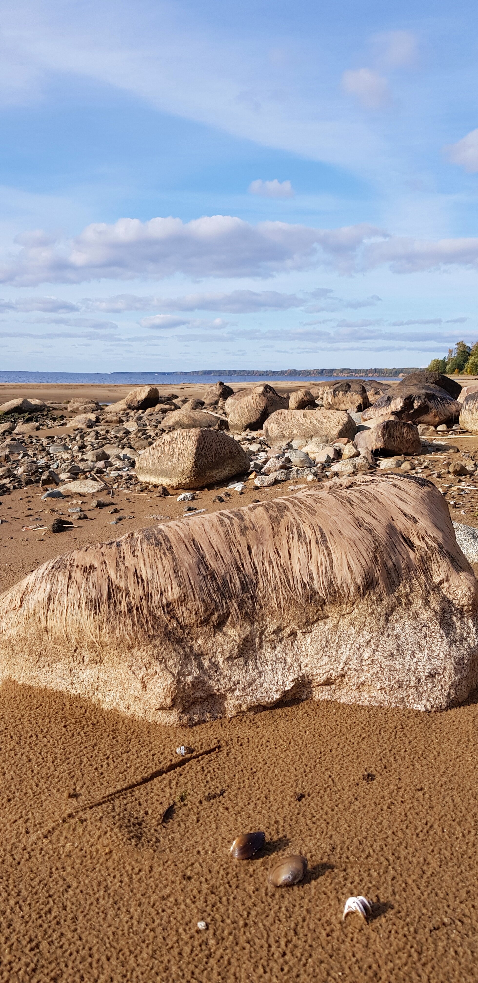 Фото Дача на Рыбинском Море