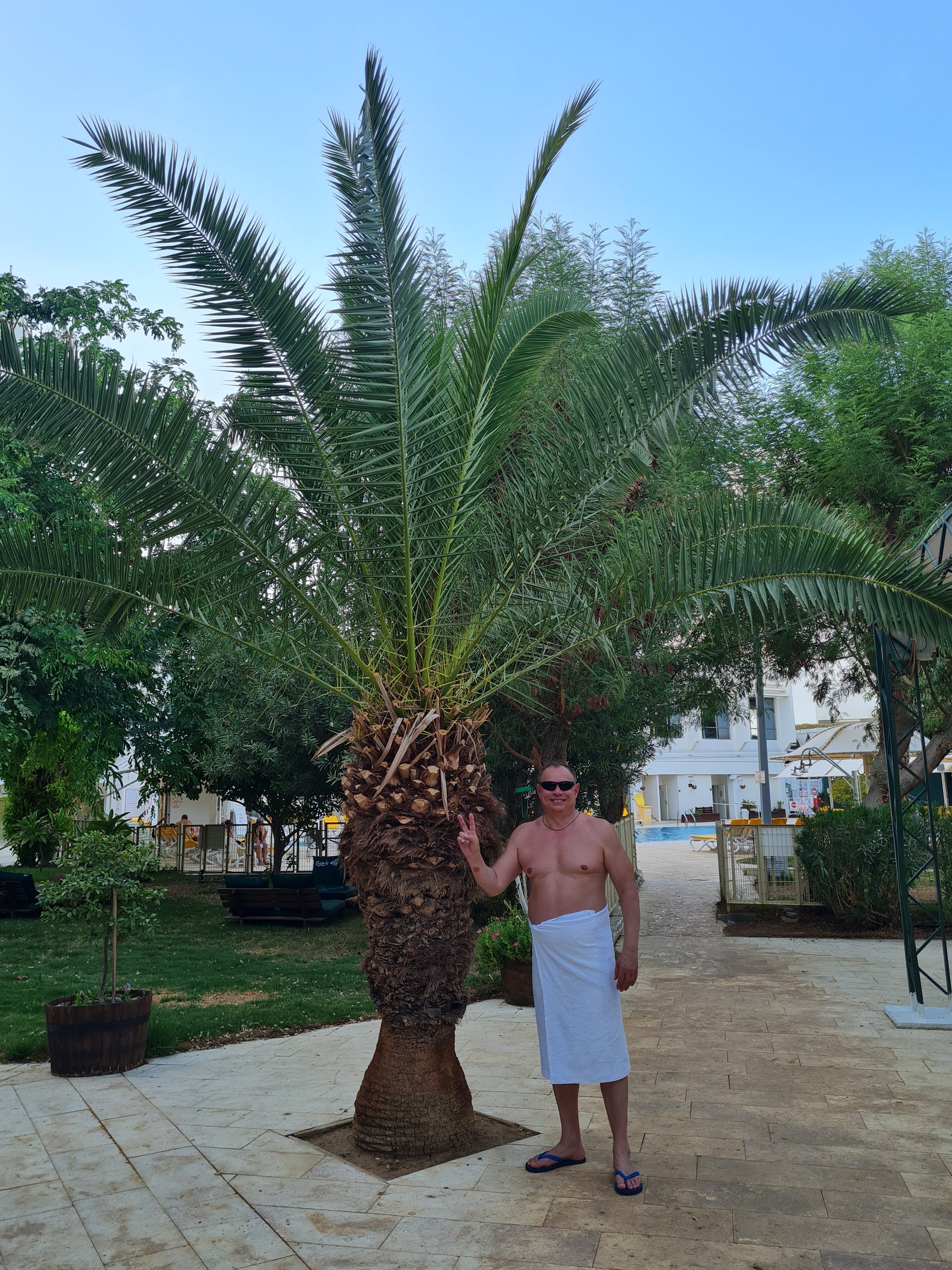 Фото Vert Dead Sea