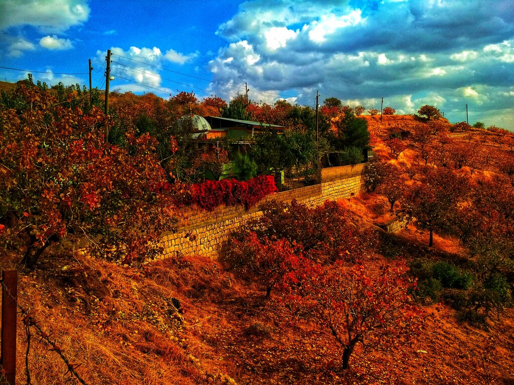 Mosque Sheikh Naccar Mosque, Siirt, photo