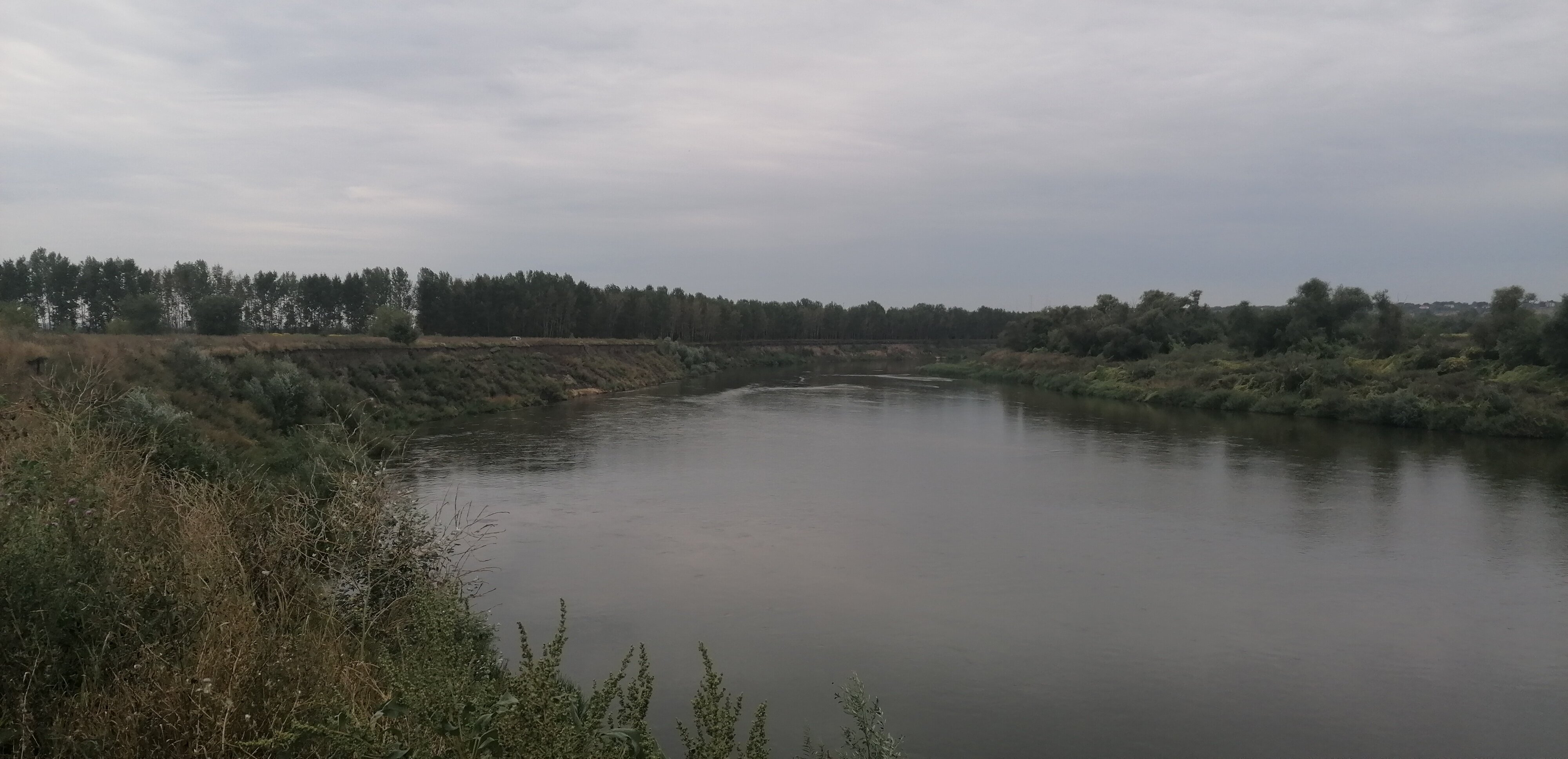 Фото ДонДом