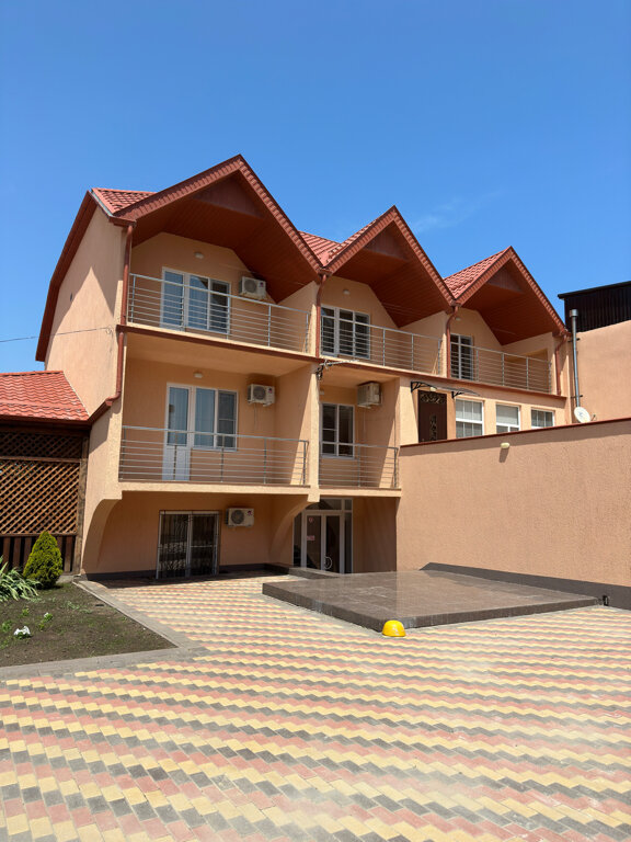 Фото Фламинго