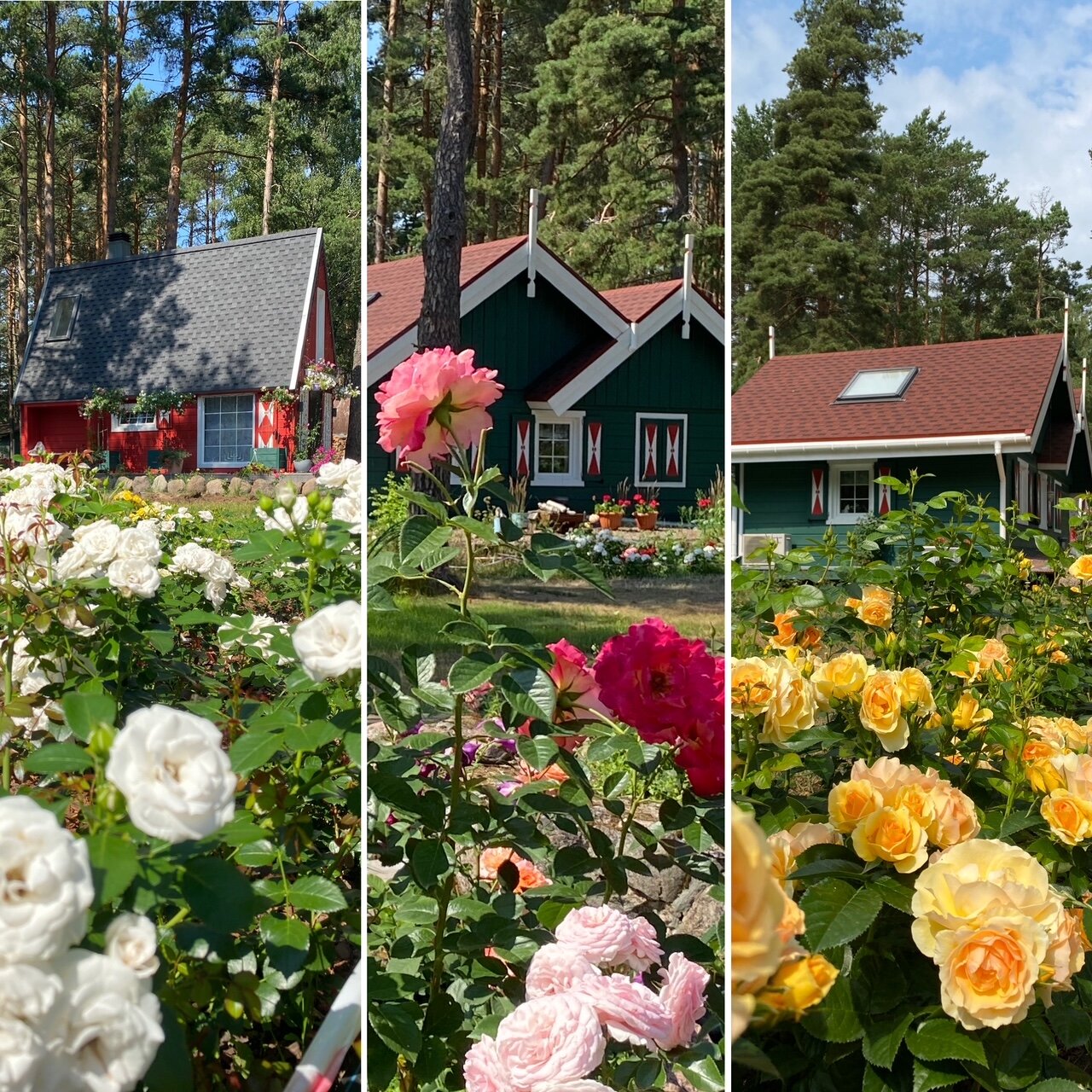 Фото Коттедж Вязоград