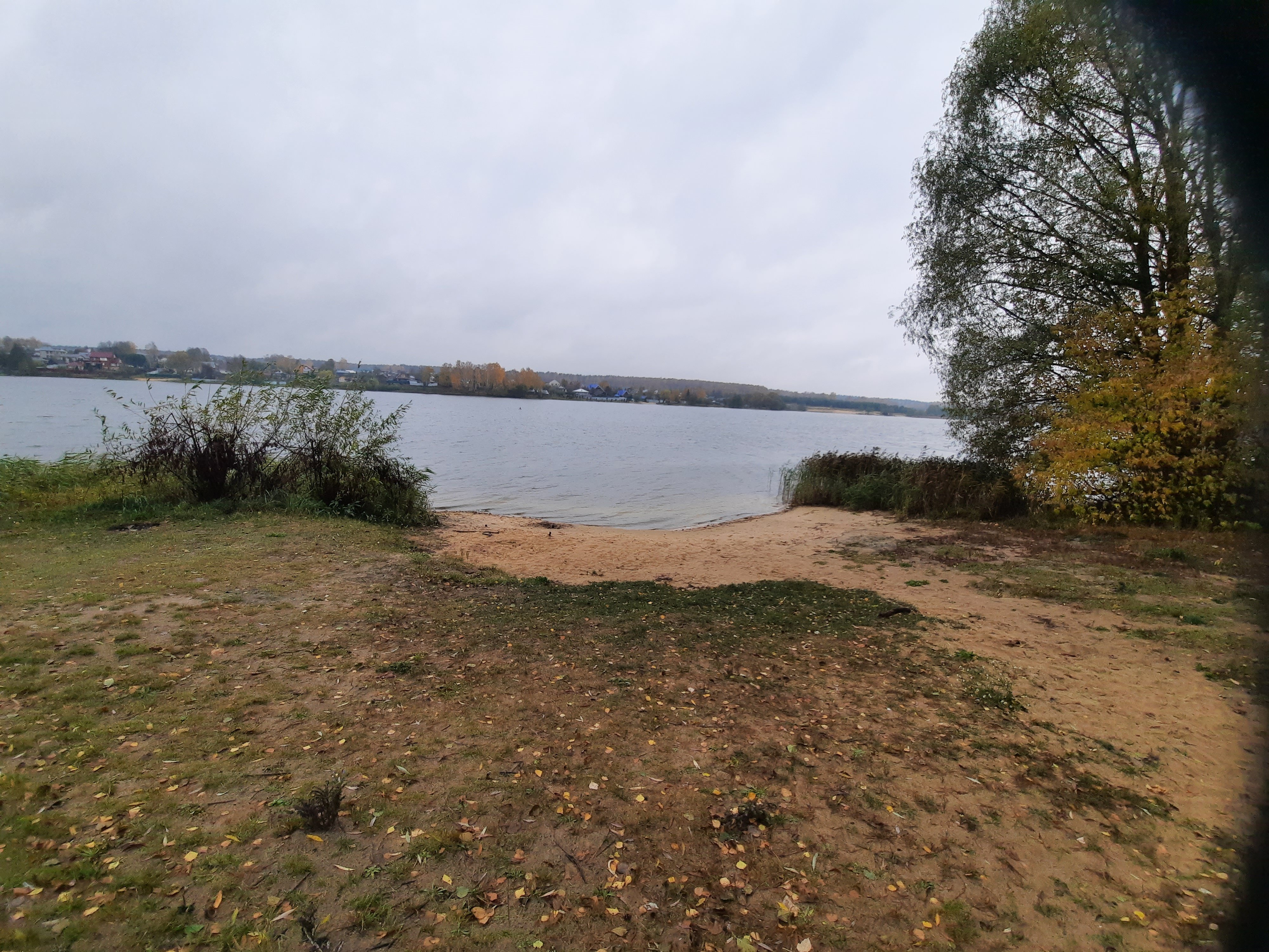 Фото Динамо