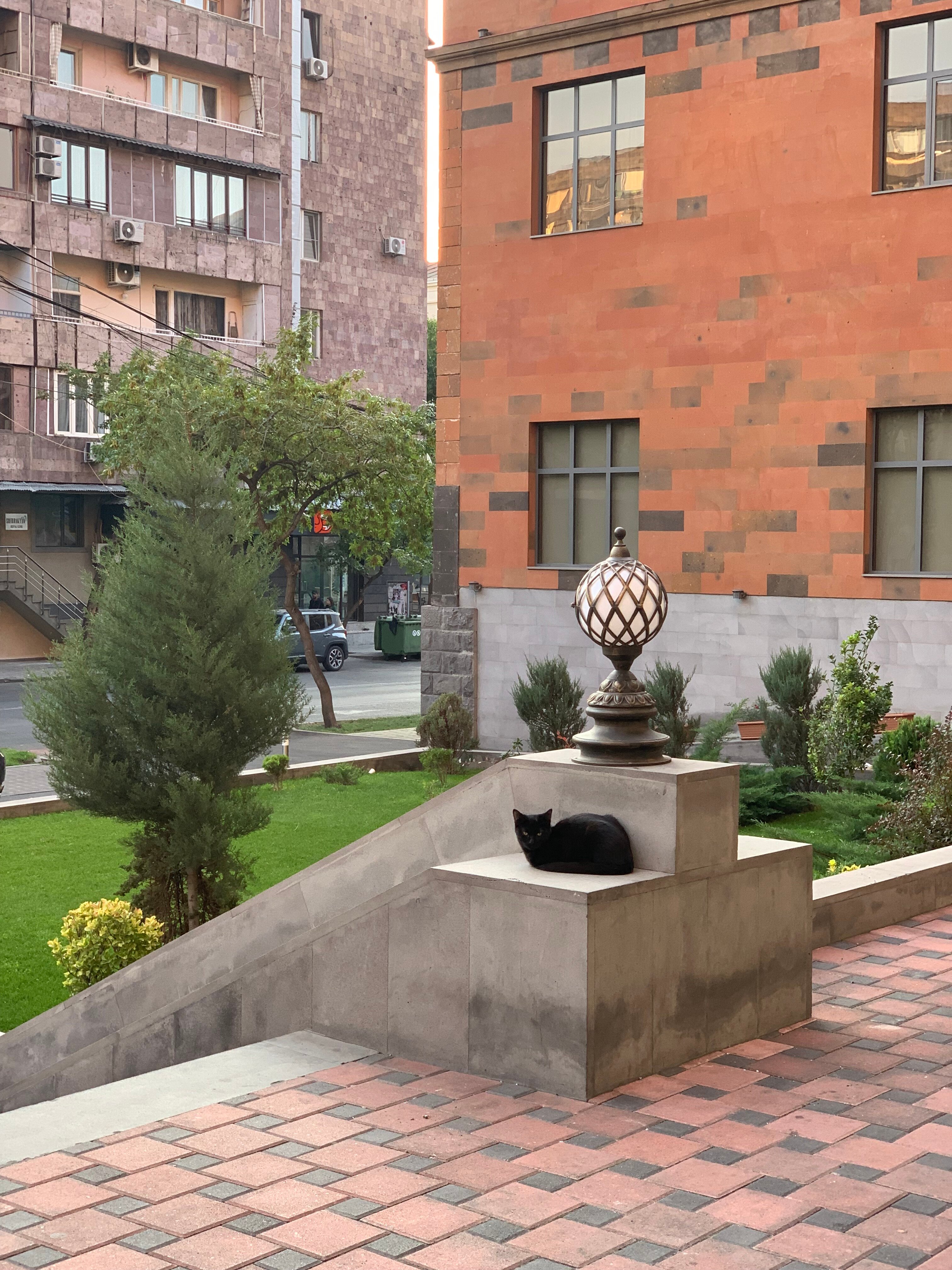 Фото Ani Grand Hotel