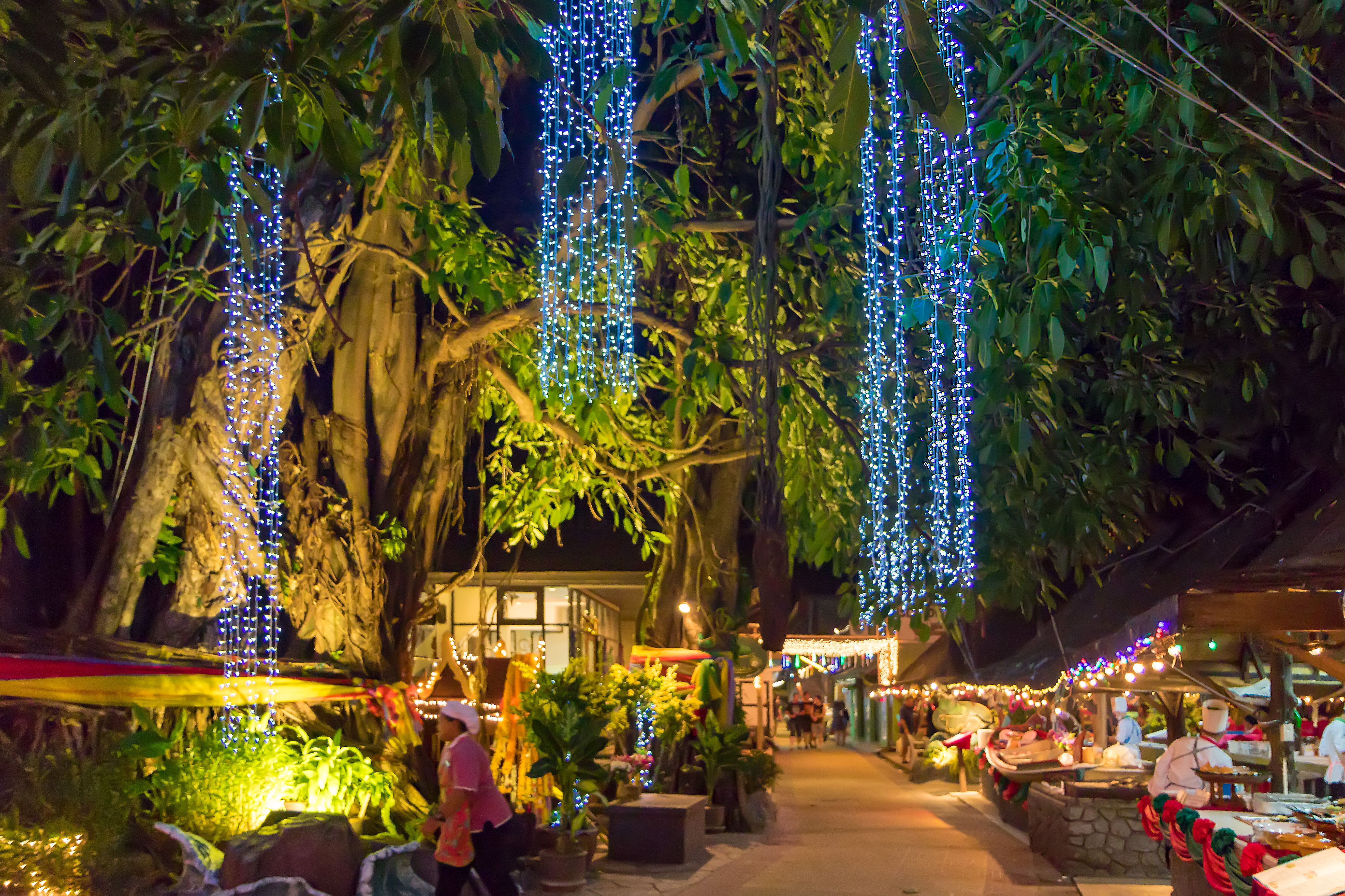 Фото Phi Phi Banyan Villa