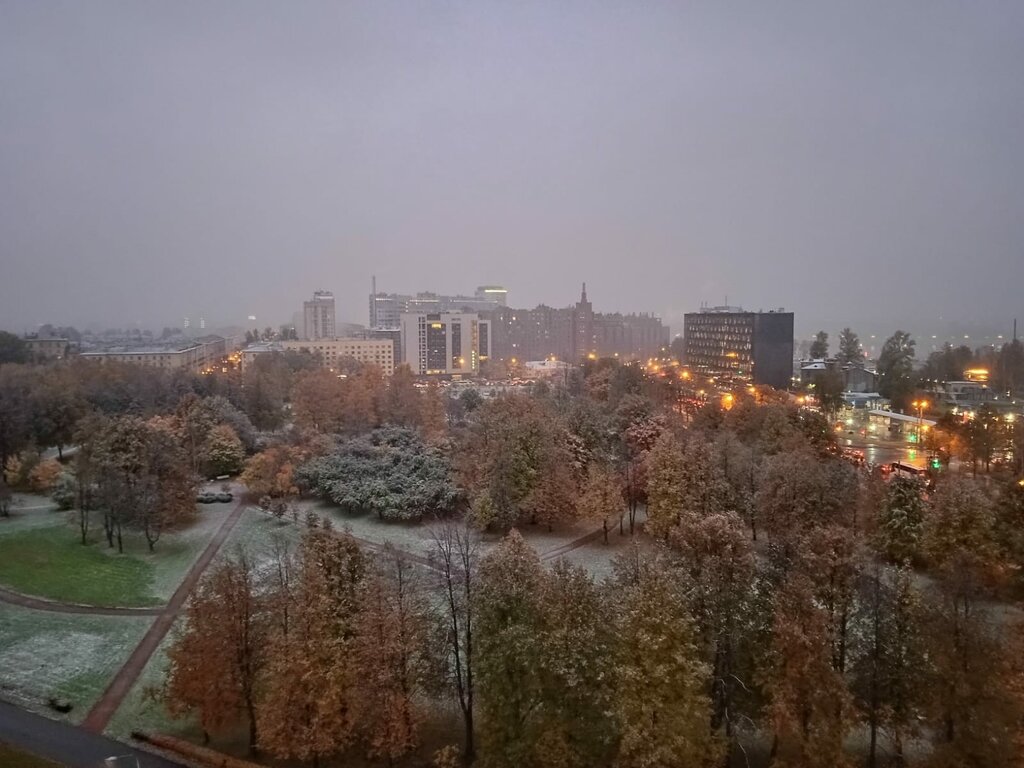 Сад нева санкт петербург сад нева фото