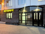 Нотариус Краснова Н.А. (Optikov Street, 45к1), notaries