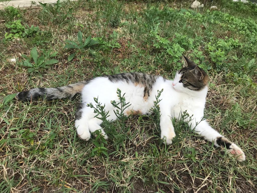 Фото Валенсия