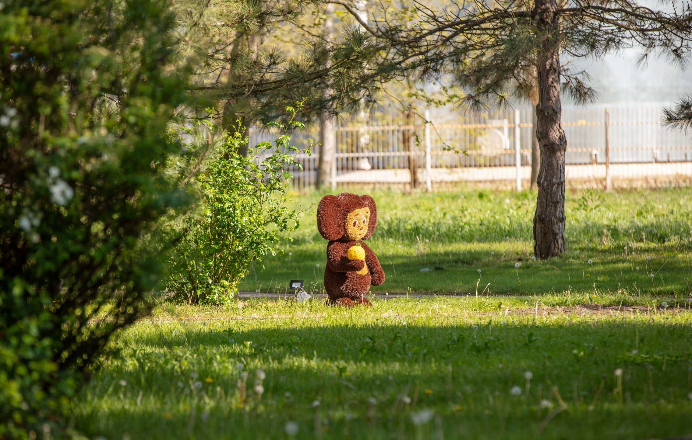 Фото Витязь