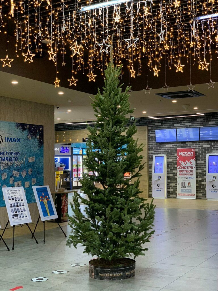 Christmas trees and christmas decorations Elki Zelonie, Khabarovsk, photo