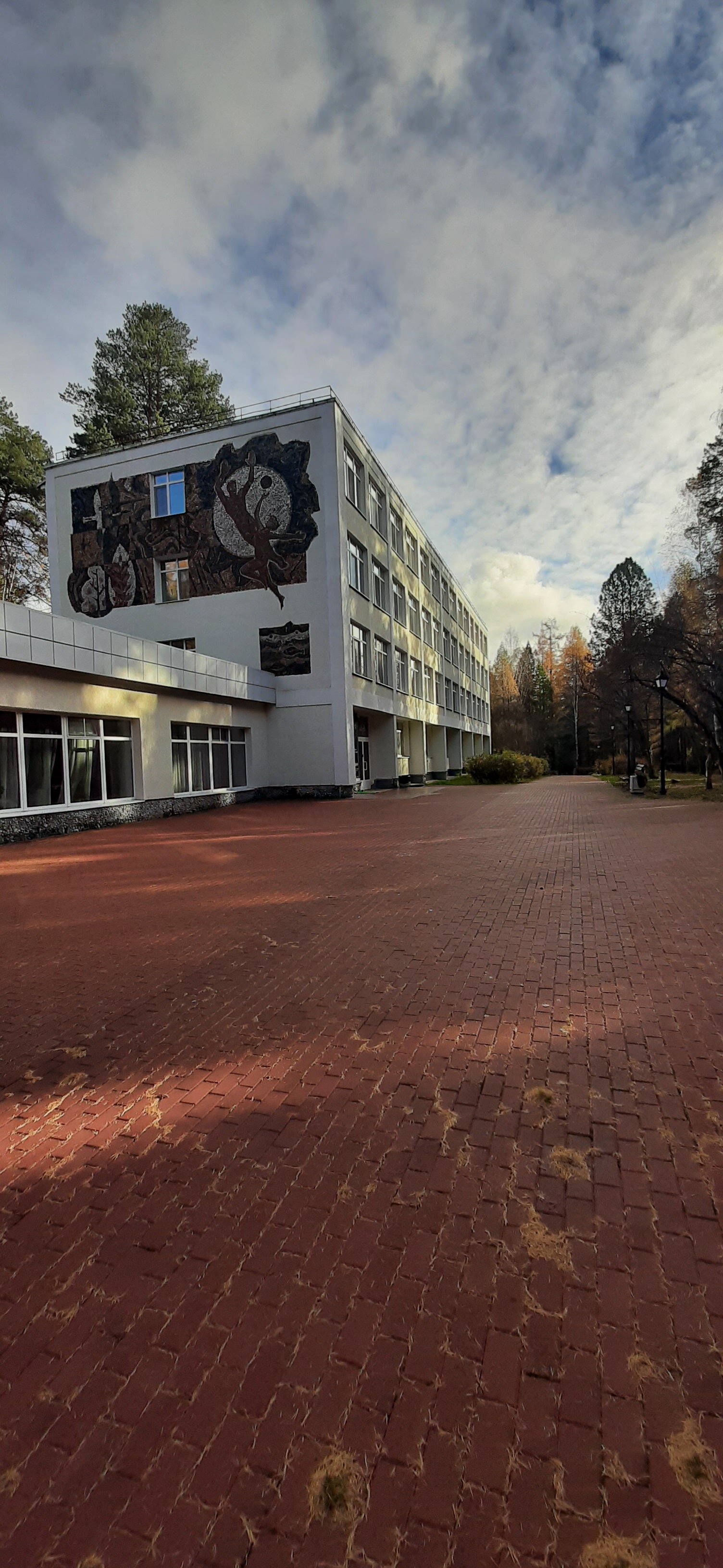 Фото Лесная сказка