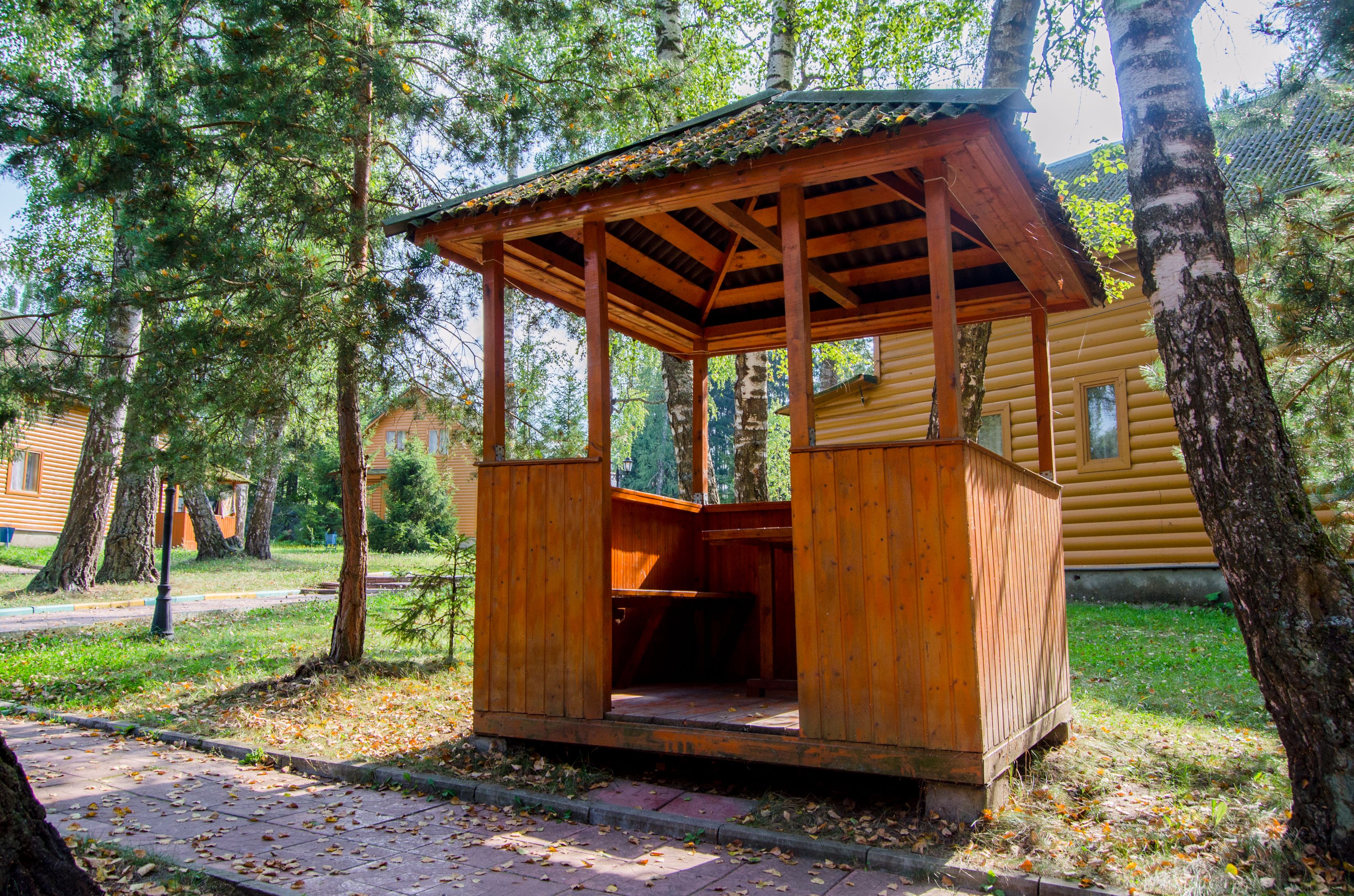 Фото Берёзовая роща