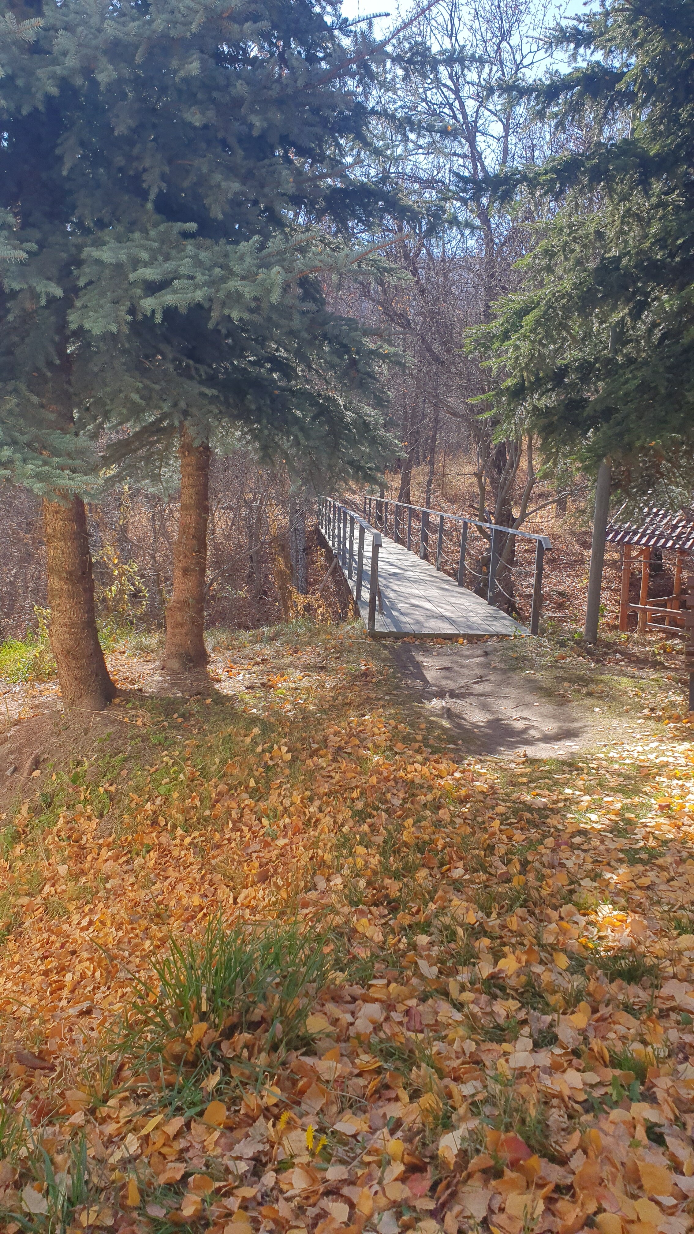 Фото Alva Hotel & SPA