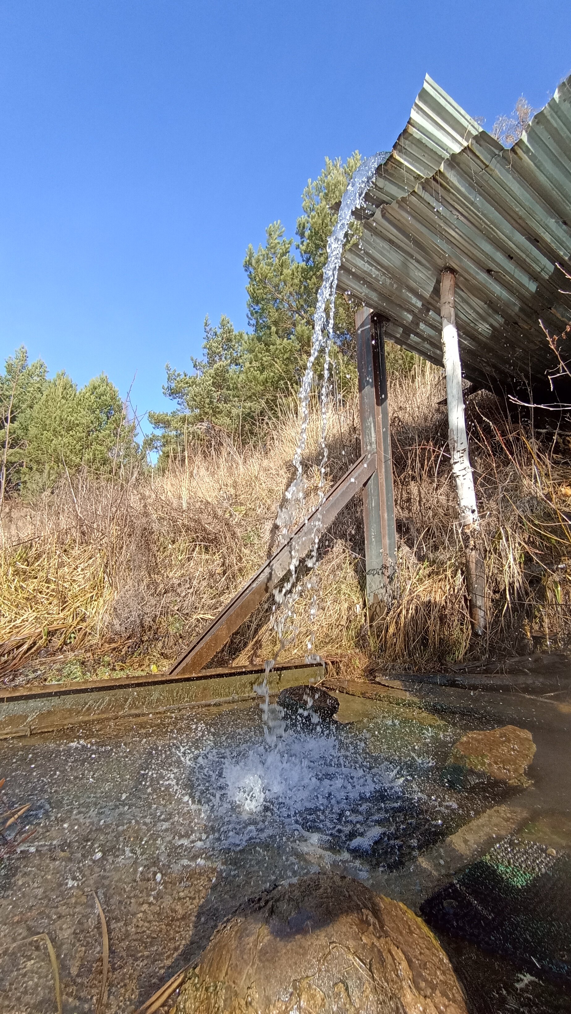 Фото Парк Чёшталей