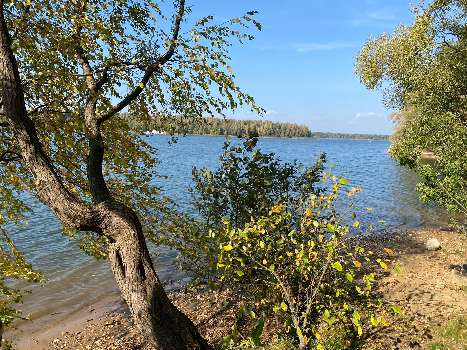 Фото Вилла Форца