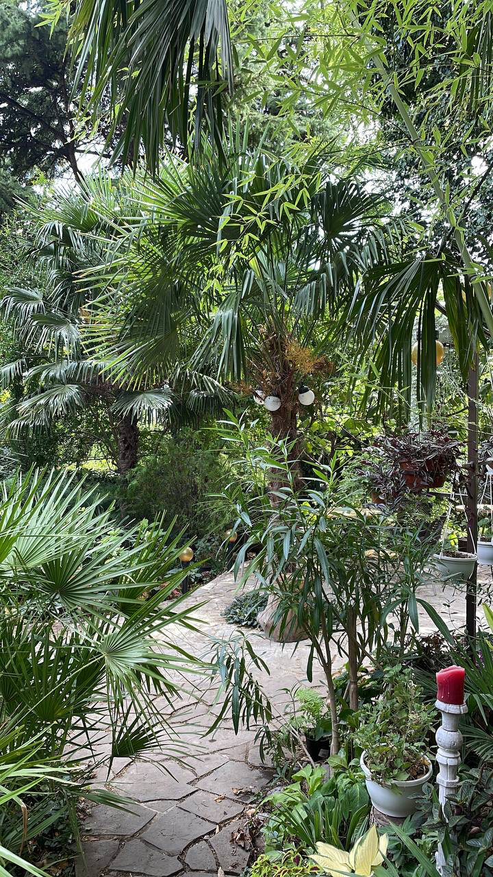 Фото Дом для отдыха