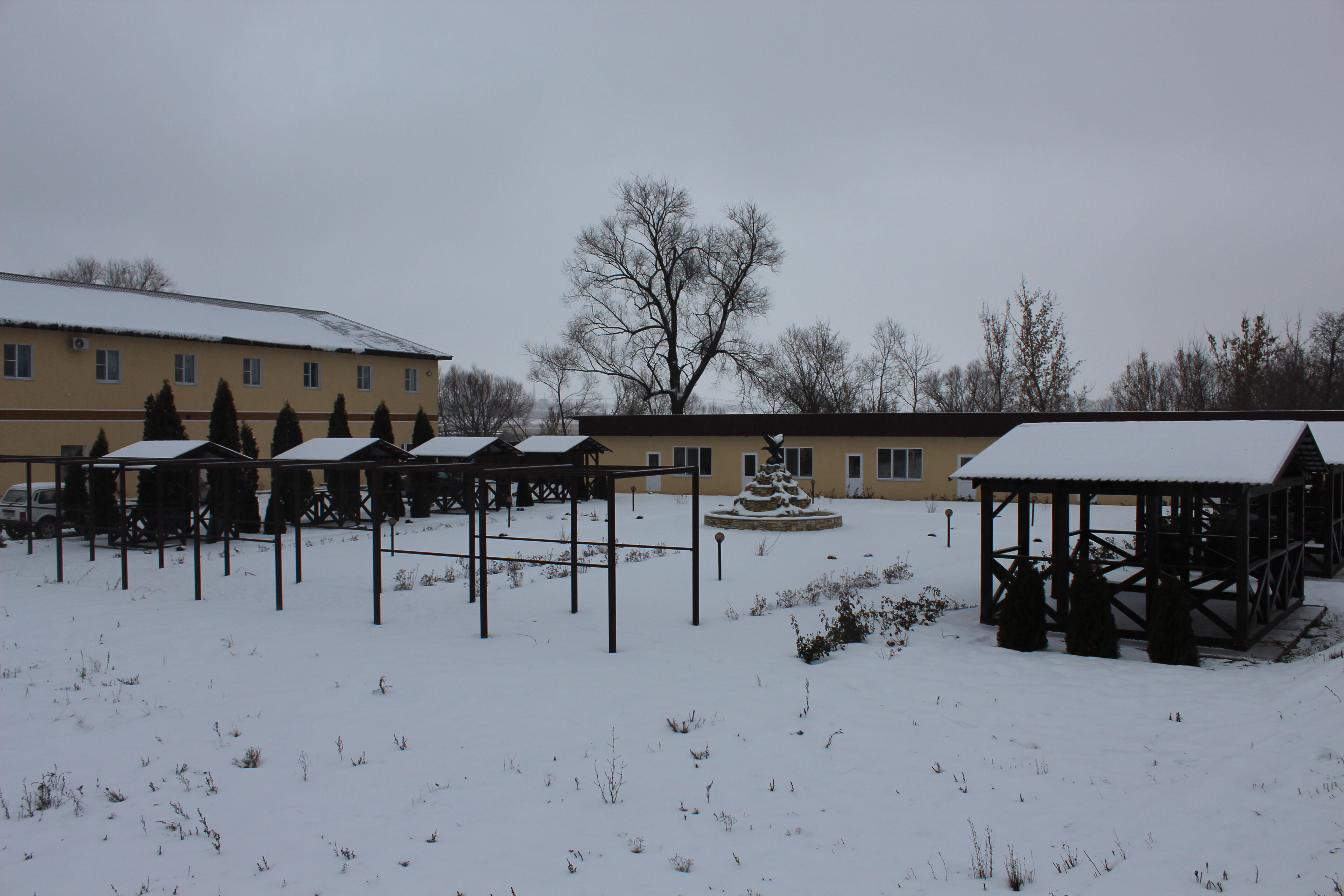 Фото Александрия