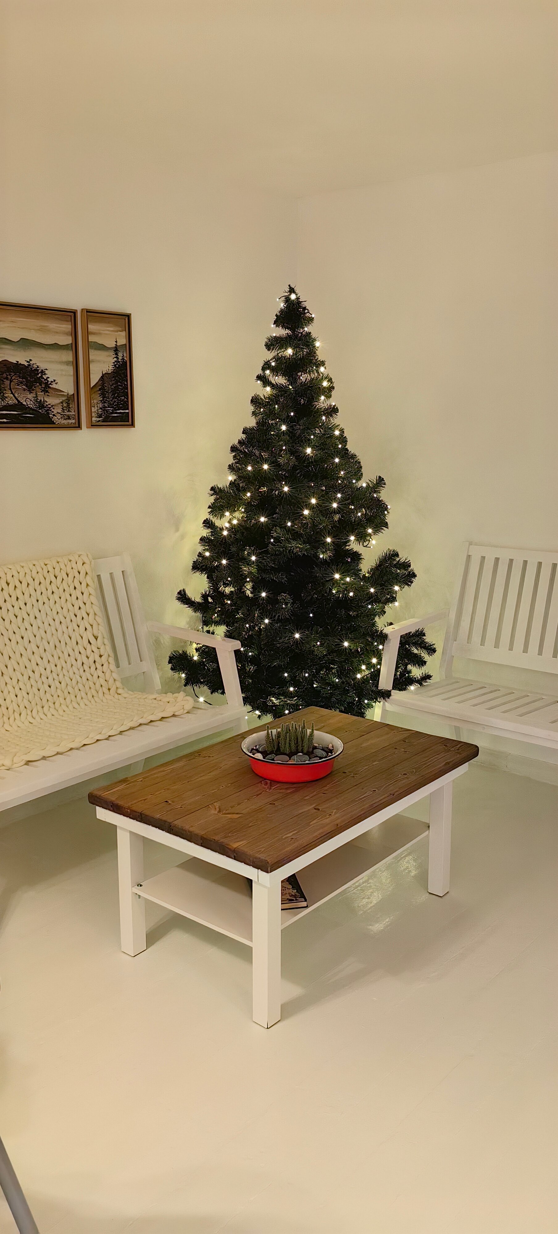 Фото Лопарочка