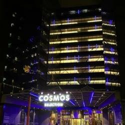 Гостиница Cosmos Selection Moscow Sheremetyevo Airport Hotel