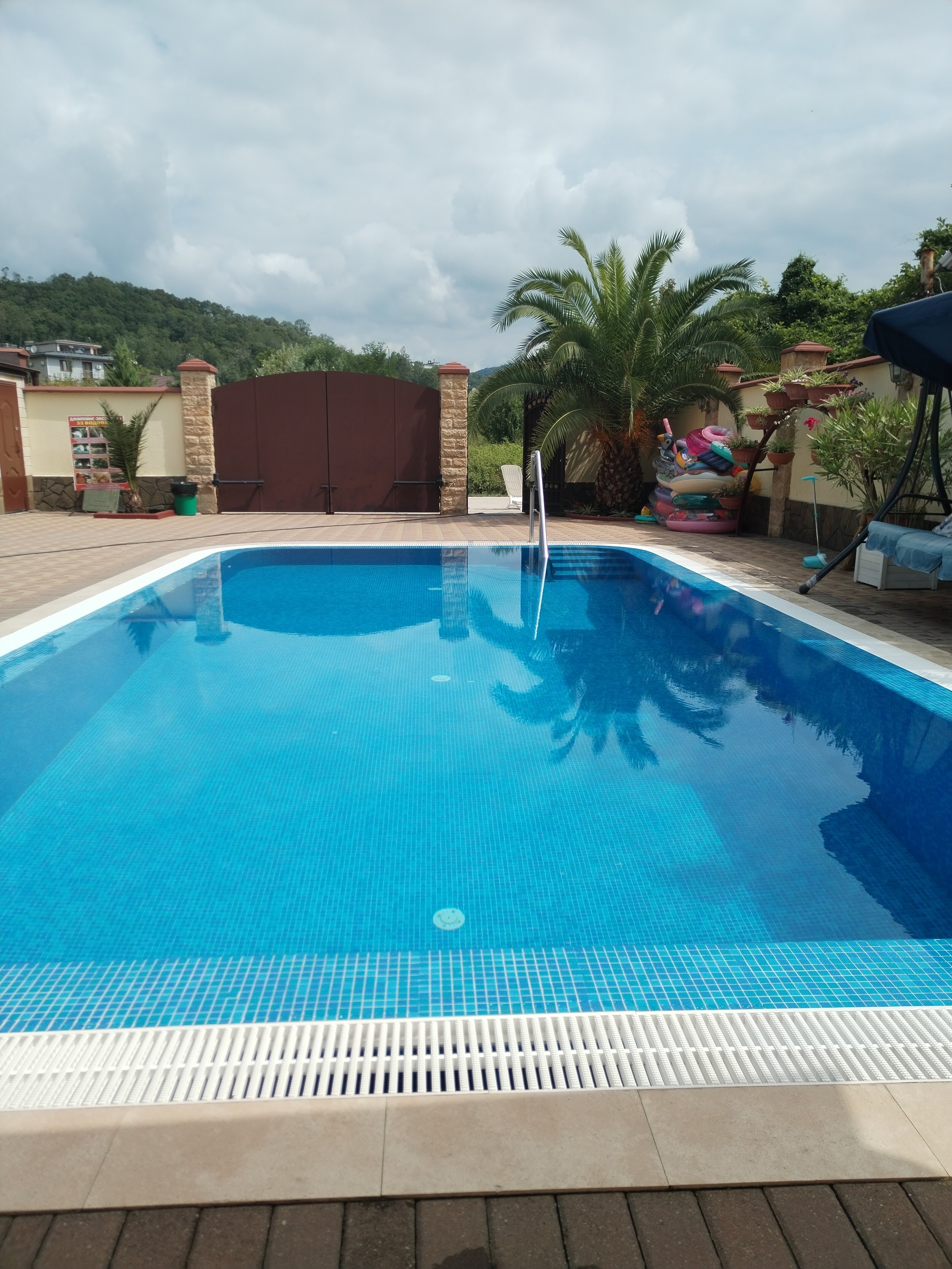 Фото Золотой Лев