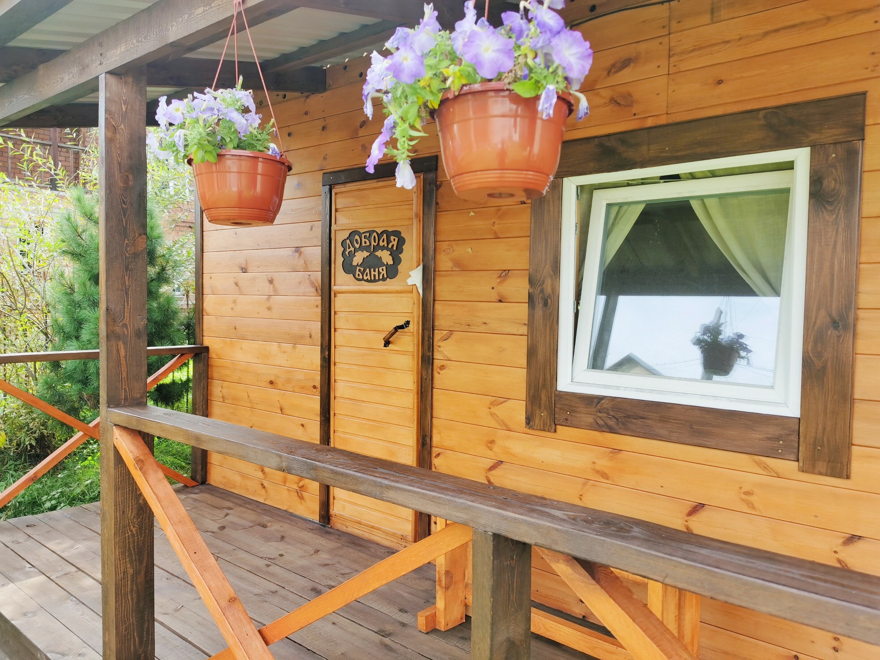 Фото Уютная Лиса