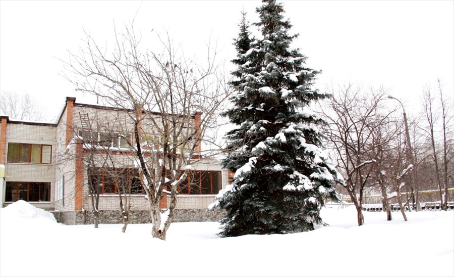 Фото Фаворит