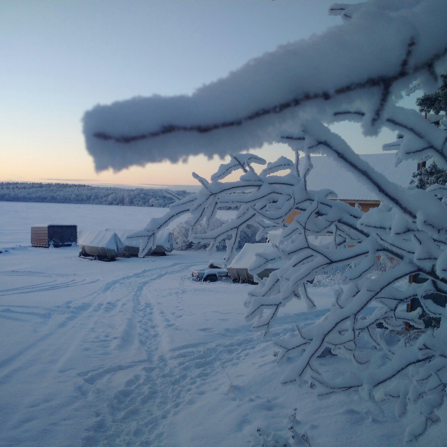 Фото Гольфстрим