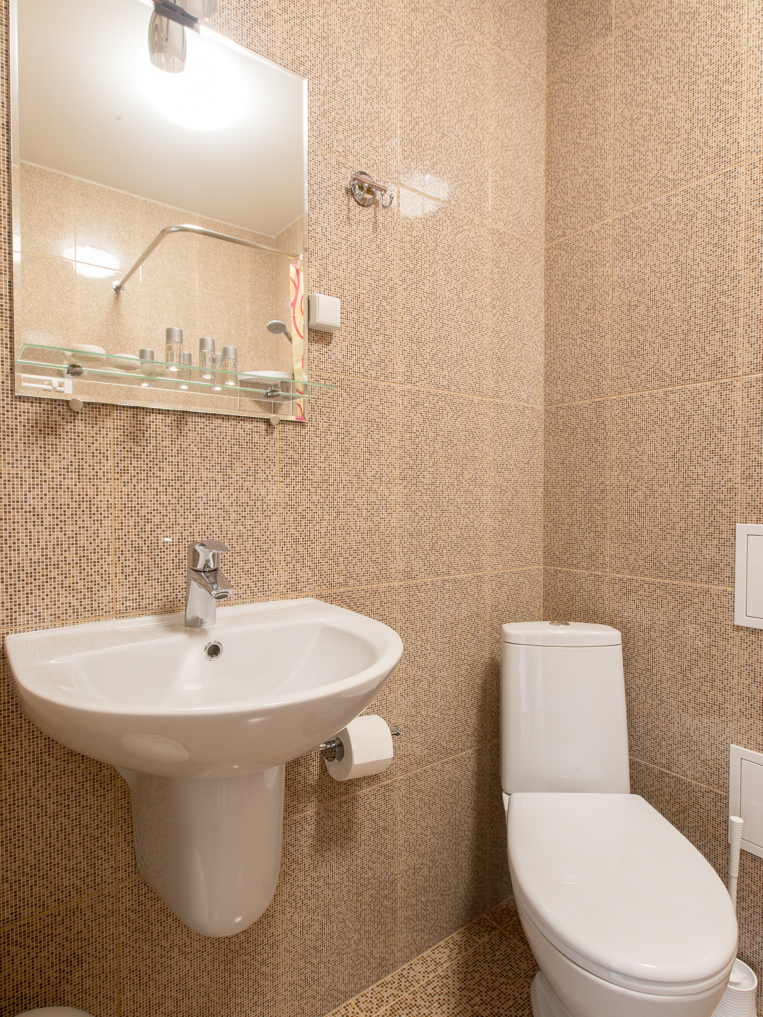 Фото Игуана