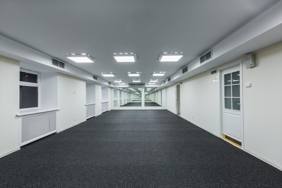 Фото Белое Дерево