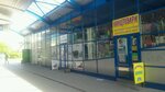 Zoomagazin (Lesia Kurbasa Avenue, 16А) ، متجر للحيوانات الأليفة