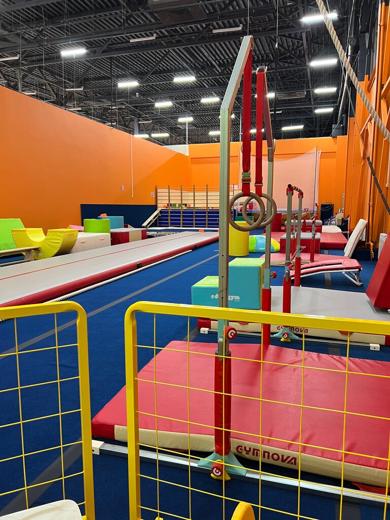 Sports club European Gymnastics Center, Podolsk, photo