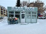 Цветы (ulitsa V. Kosorotova, 1) ، محل زهور