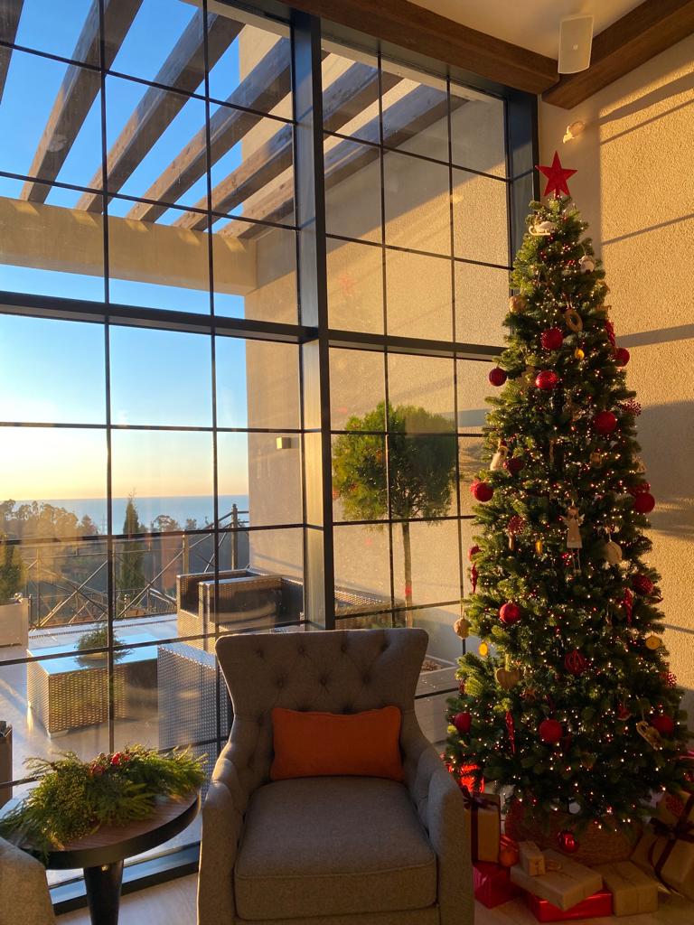 Фото 7 Кипарисов