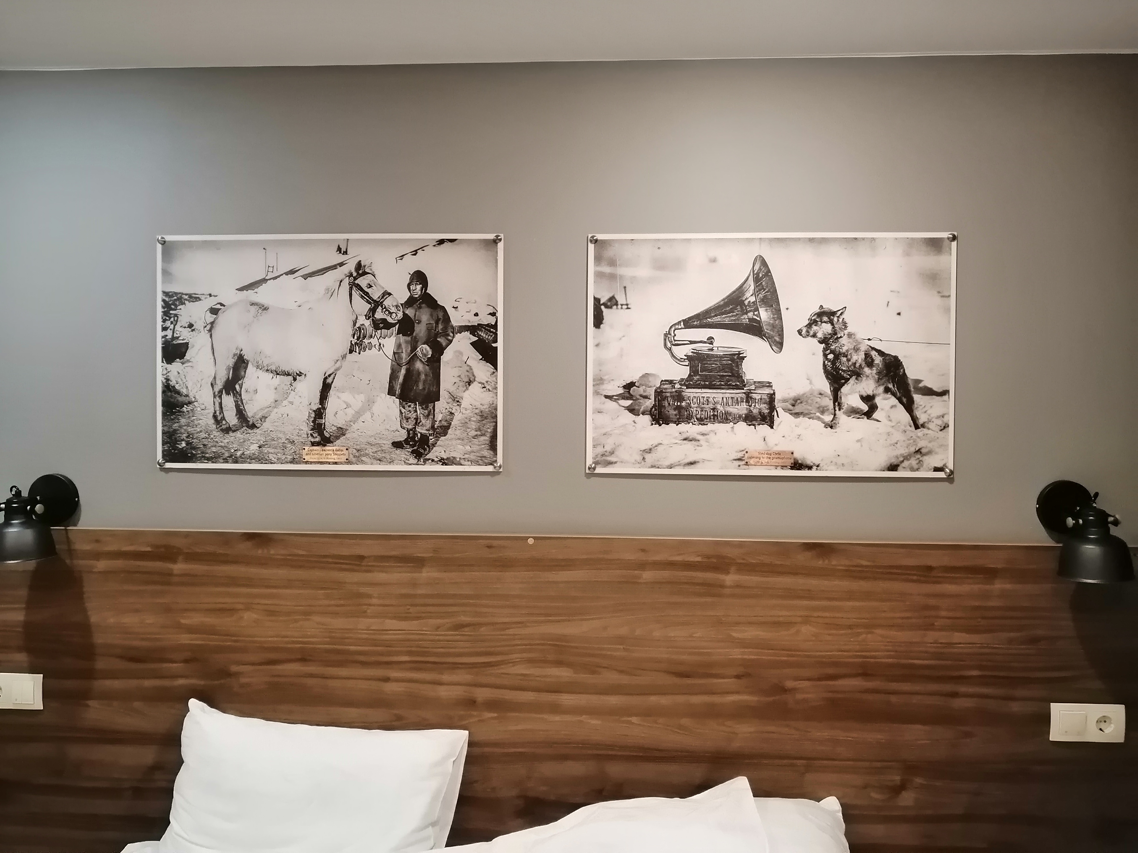 Фото Парк-отель Экспедиция