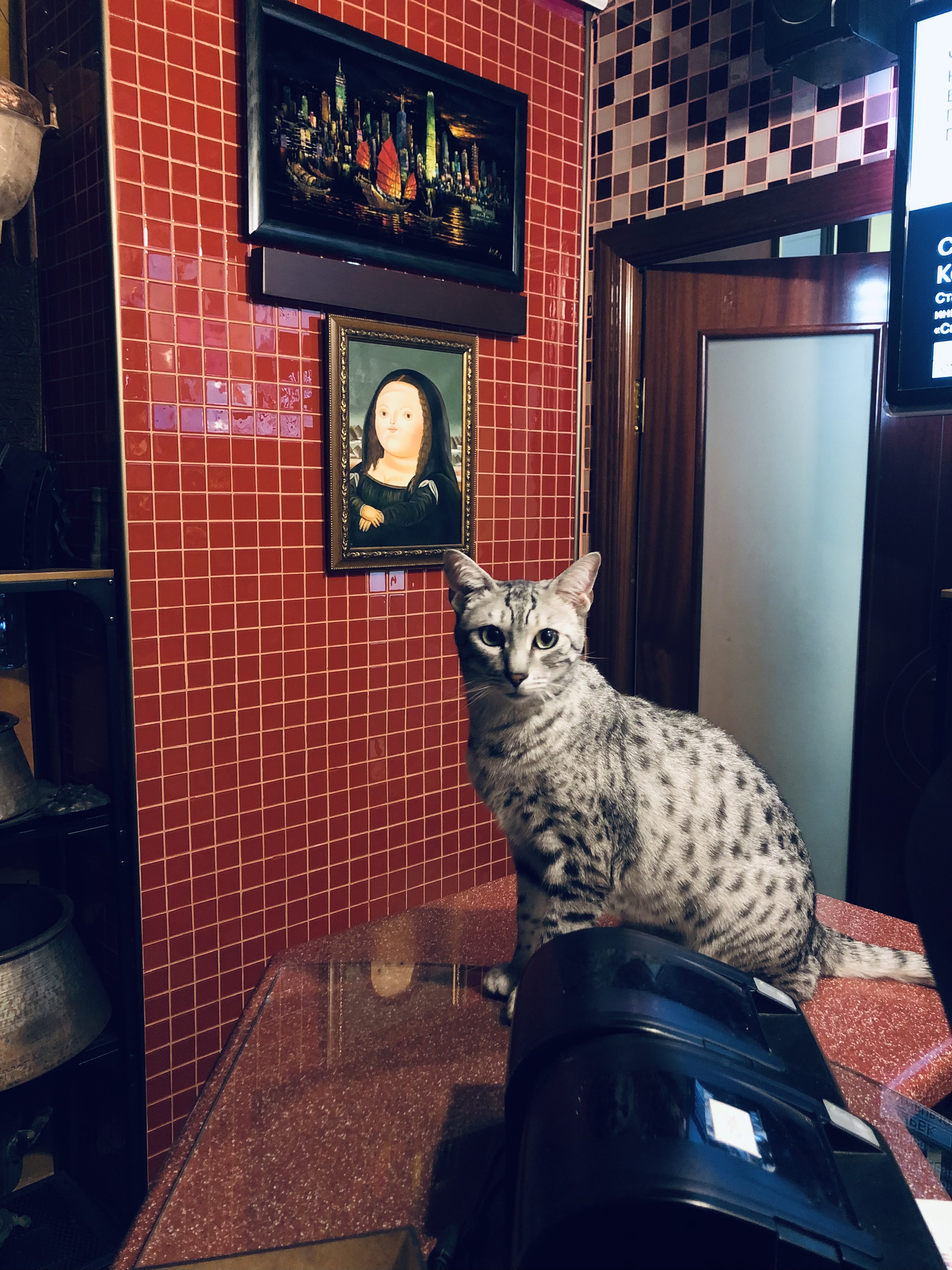 Фото Центр 300