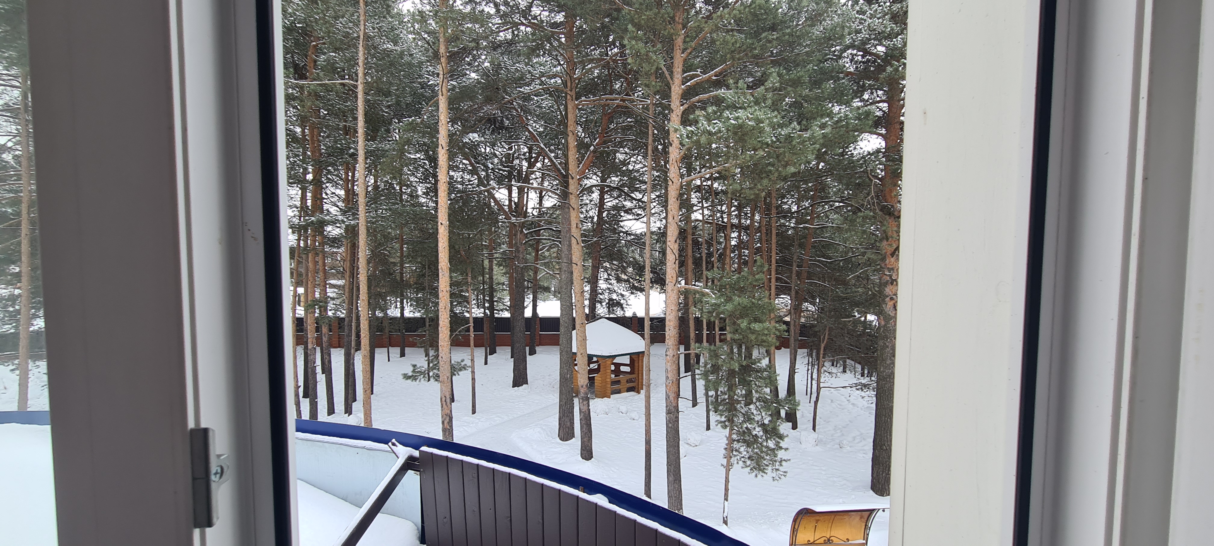 Фото Гледен