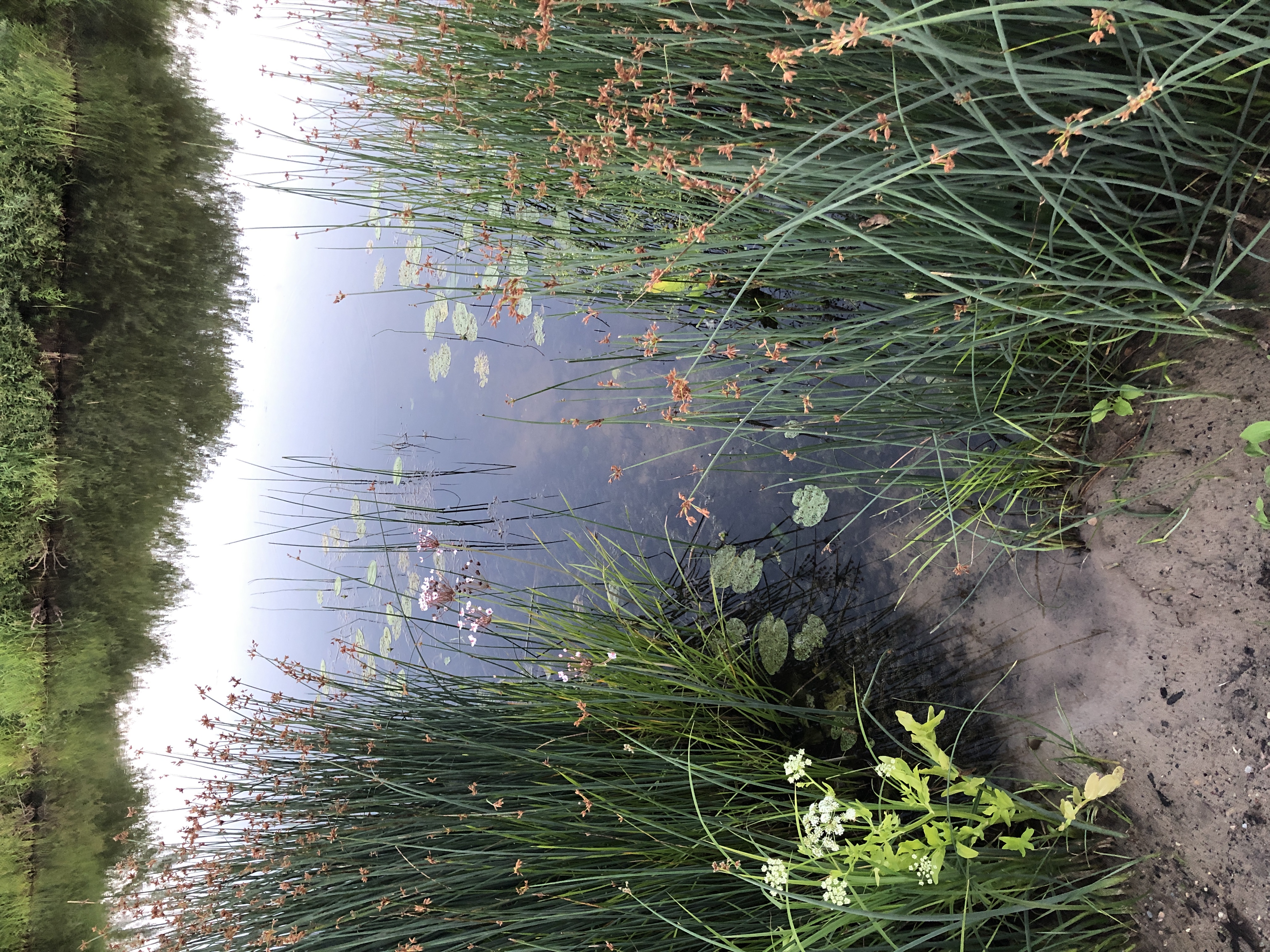 Фото Замытье