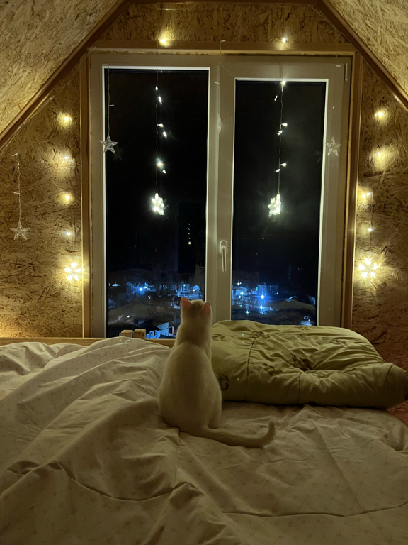 Фото У Хадо