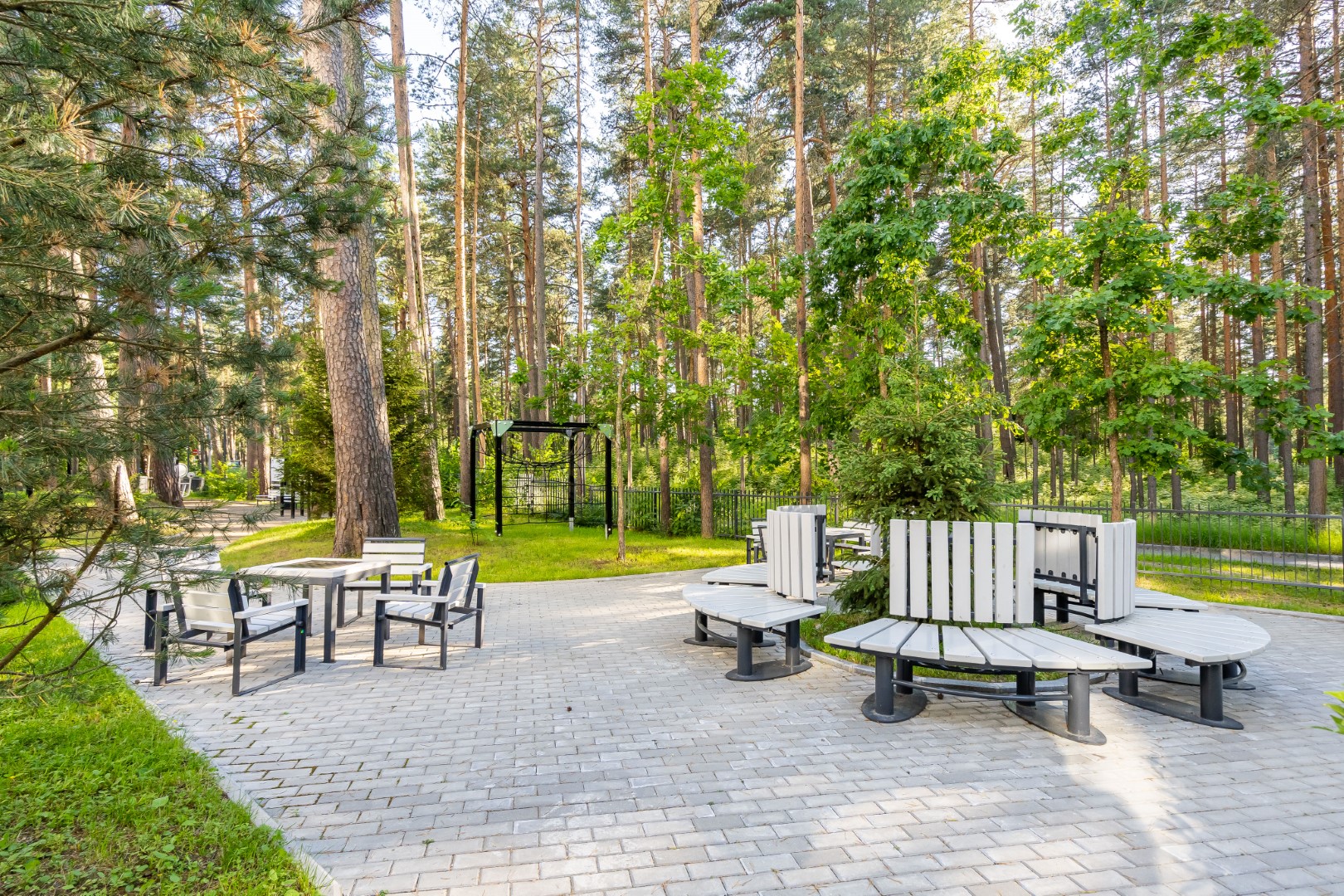 Фото Абрикосовое дерево на Максима Горького 2а СТР. 3