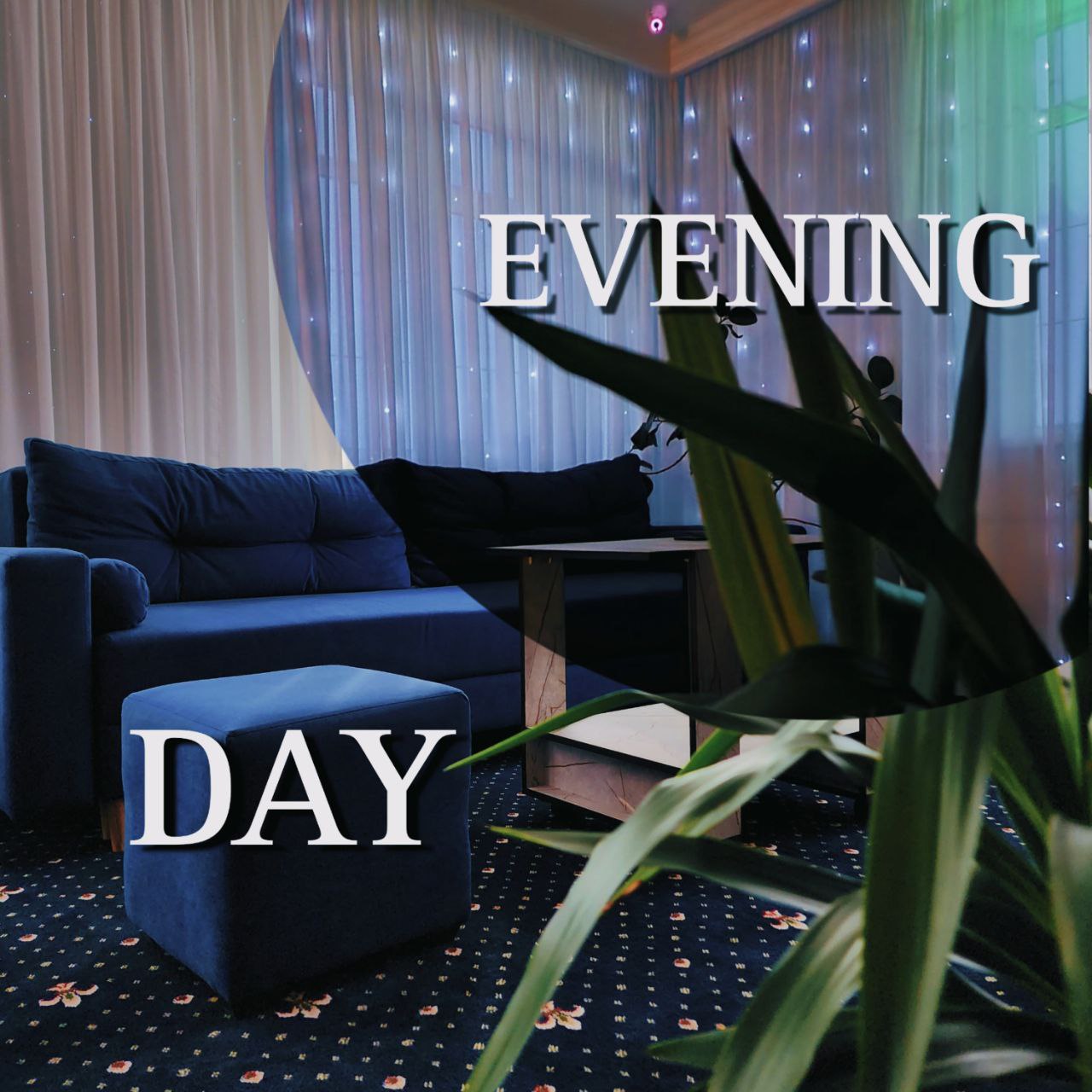 Фото Фулл Хаус